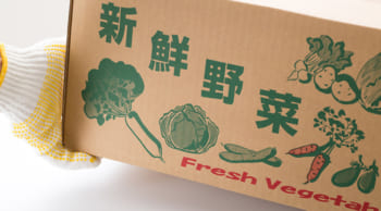 平日週3日～可｜野菜の箱詰め・仕分け｜年末までの短期